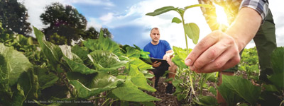 AGRÍCOLA Y JARDINERIA
